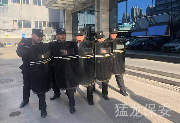 1618984741137776.jpg 9.jpg